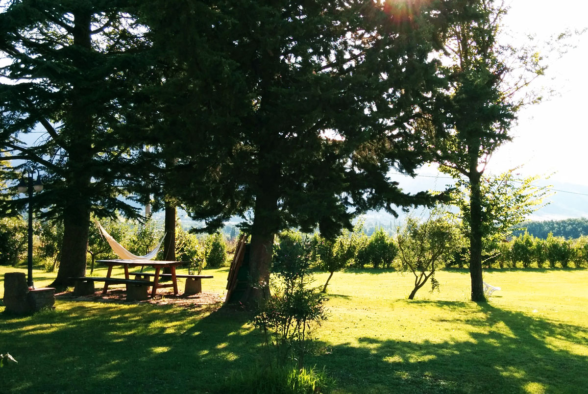 The garden of the guesthouse Casale Bosco