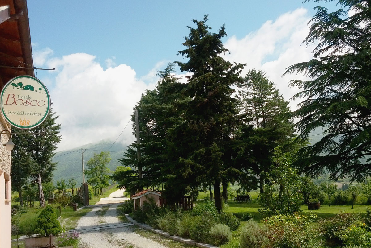 The garden of the guesthouse Casale Bosco