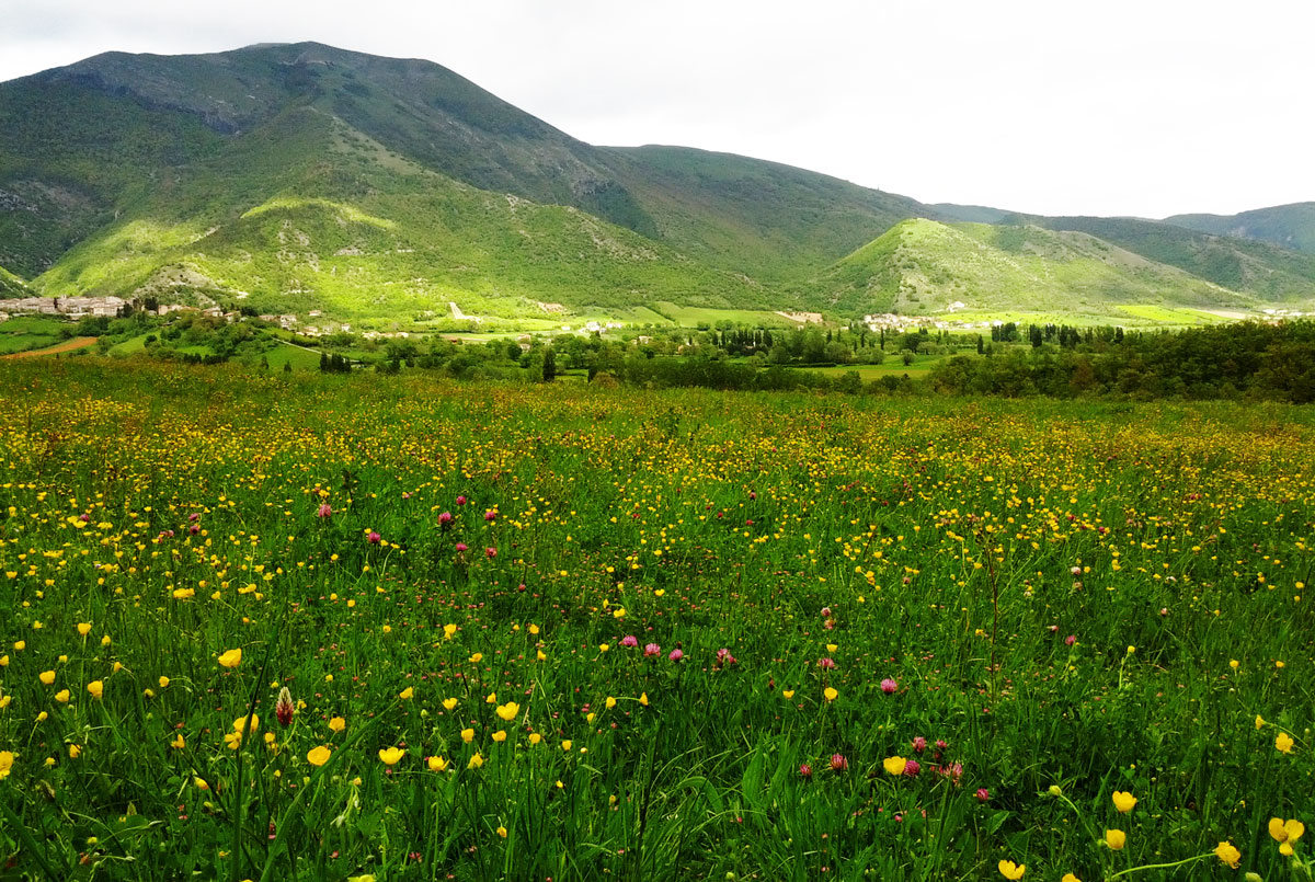 Nature and activities at Monte Cucco, Umbria - Guesthouse Casale Bosco