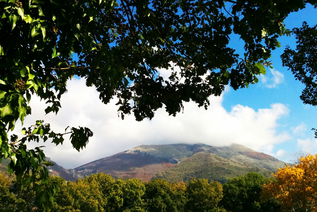 Nature and activities at Monte Cucco, Umbria - Guesthouse Casale Bosco